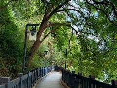 -白帝城·瞿塘峡景区