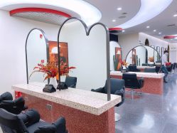 -IP SALON