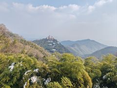 -莫干山风景区