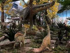 -湖南省地质博物馆