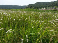 android_upload_pic-东海半边山旅游度假区