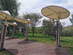 -云漫湖生态度假公园