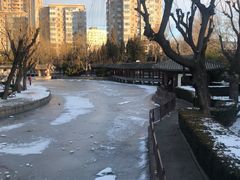 -团结湖公园