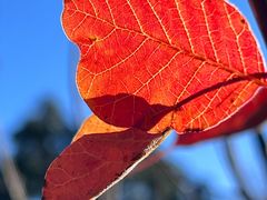 -北京西山国家森林公园