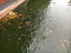 -水都餐厅