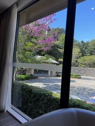 -爱帝宫月子中心(罗湖别墅院)