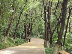 -天目湖山水园