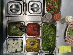 -油梨树AVOCADO TREE(顺义新国展店)