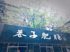 -巷子肥肠(科华巷店)