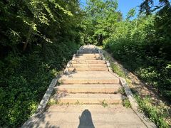 -青龙山国家森林公园