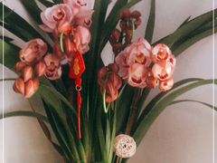 -FEI FEI FLOWER鲜花店·气球派对·宝宝宴布置(虹口德必运动Loft店)