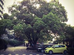 -湖北中医药大学(昙华林校区)