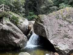 -牛背梁国家森林公园