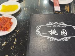 -桃园中华料理炸酱面(燕儿岛路店)