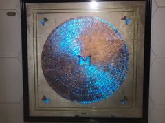 -上海昆虫博物馆