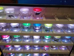 -宠物世家(仲盛世界商城店)