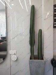 -XY形象设计/烫发·染发·接发