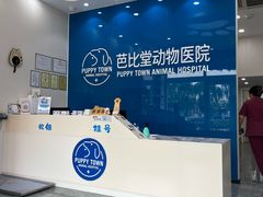 -芭比堂动物医院·CT·微创中心(新顺分院)