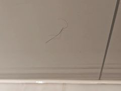 -大连星海皇冠假日酒店