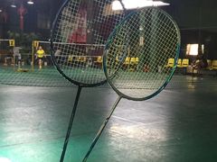 -东丽温泉羽毛球