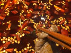 -烧哥美蛙肥肠鱼火锅·十五年社区店