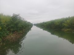 -黄海国家森林公园