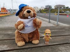 -Pakkhús Restaurant