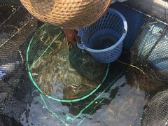 -海上驿站渔家菜馆