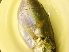 -吴记富苑(朝阳店)