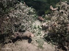 -广东省博物馆
