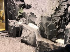 -Canada Goose加拿大鹅(北京三里屯太古里店)