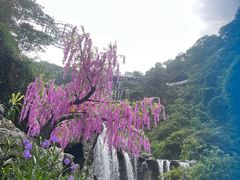-古龙峡云天玻霸