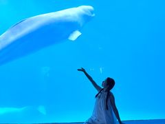 -海合安成都极地海洋公园