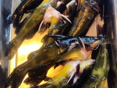 -荣德灶台鱼(圣泉寺店)