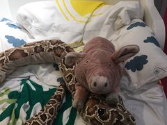 -宜家家居(哈尔滨商场店)