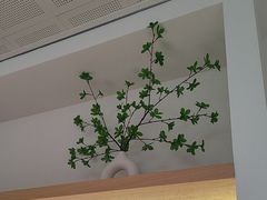 -极简口腔(总院)