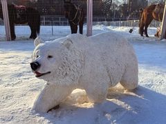 -沈阳奥体冰雪嘉年华