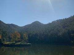 -黄陂区野村谷景区