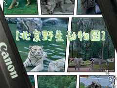 -北京野生动物园