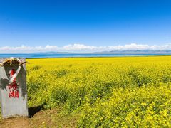 -青海湖国家重点风景名胜区