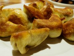 煎藏饺子-思金拉措庄园藏餐(太阳岛店)