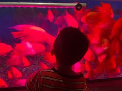 -泉州海丝野生动物世界