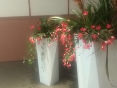 -小榄公饭店(西区彩虹店)