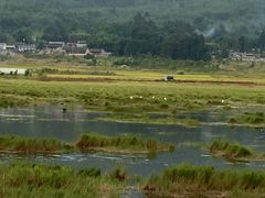 -腾冲北海湿地