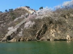 -辛玛王国游乐园