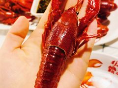 -霸王虾·麻辣小龙虾(清水河公园店)