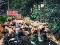 -火炉山森林公园