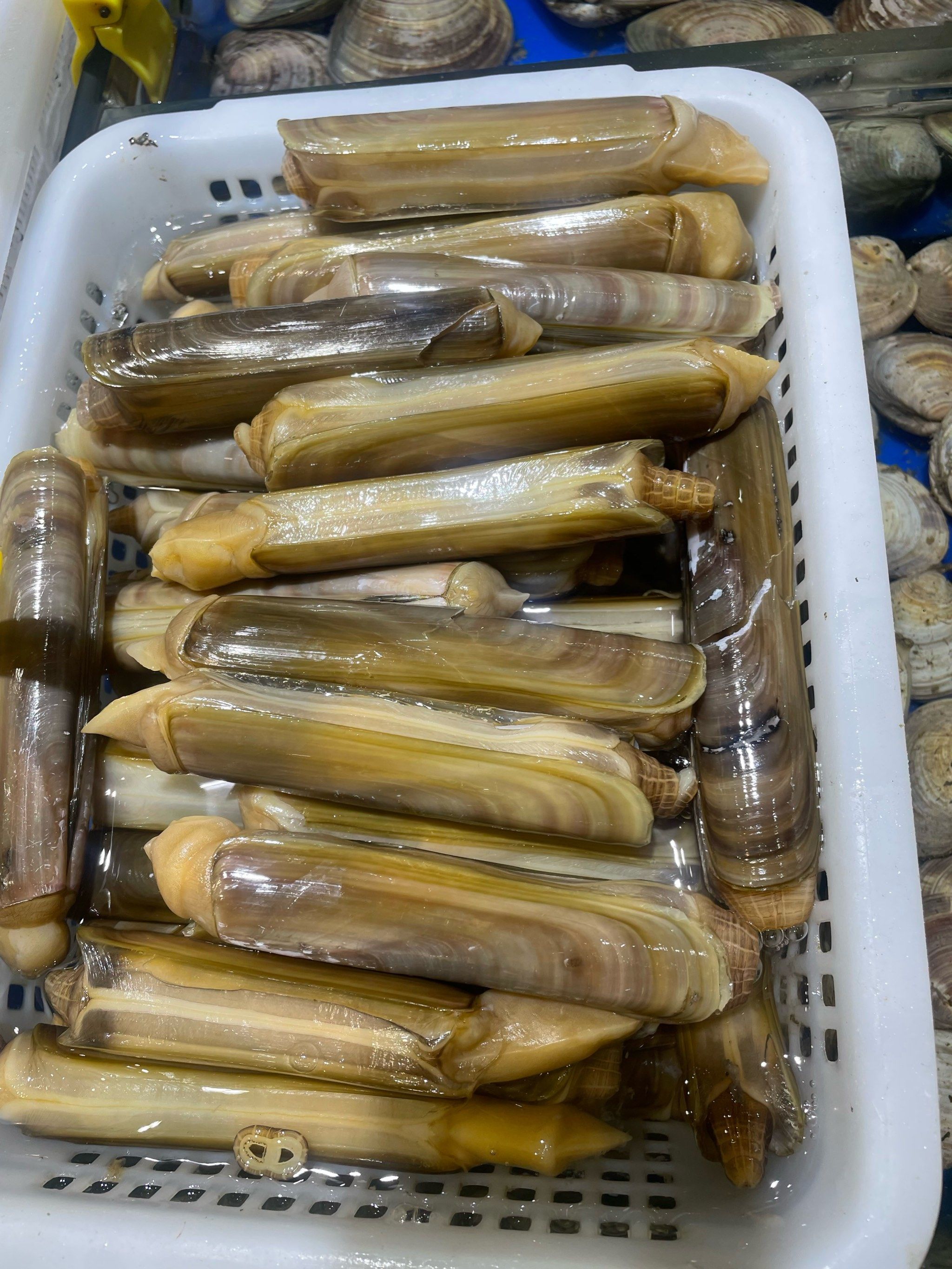 独特的地理环境造就了蛏子细腻的肉质和丰富的营养