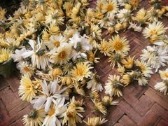 -烟桥私房菜馆(奋哥)