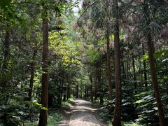 -狼山风景名胜区